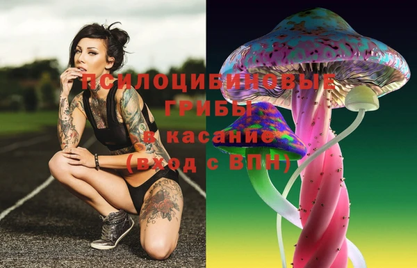jwh Вяземский