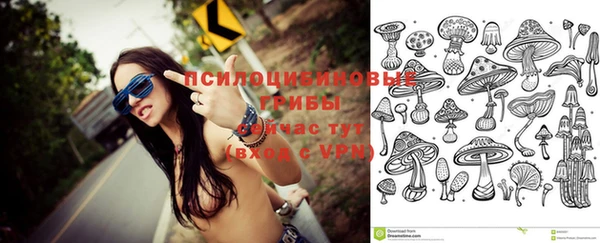 соль ск Верхнеуральск
